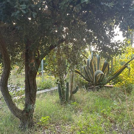 Villa Vittoria Trappeto (Sicily) Exterior foto