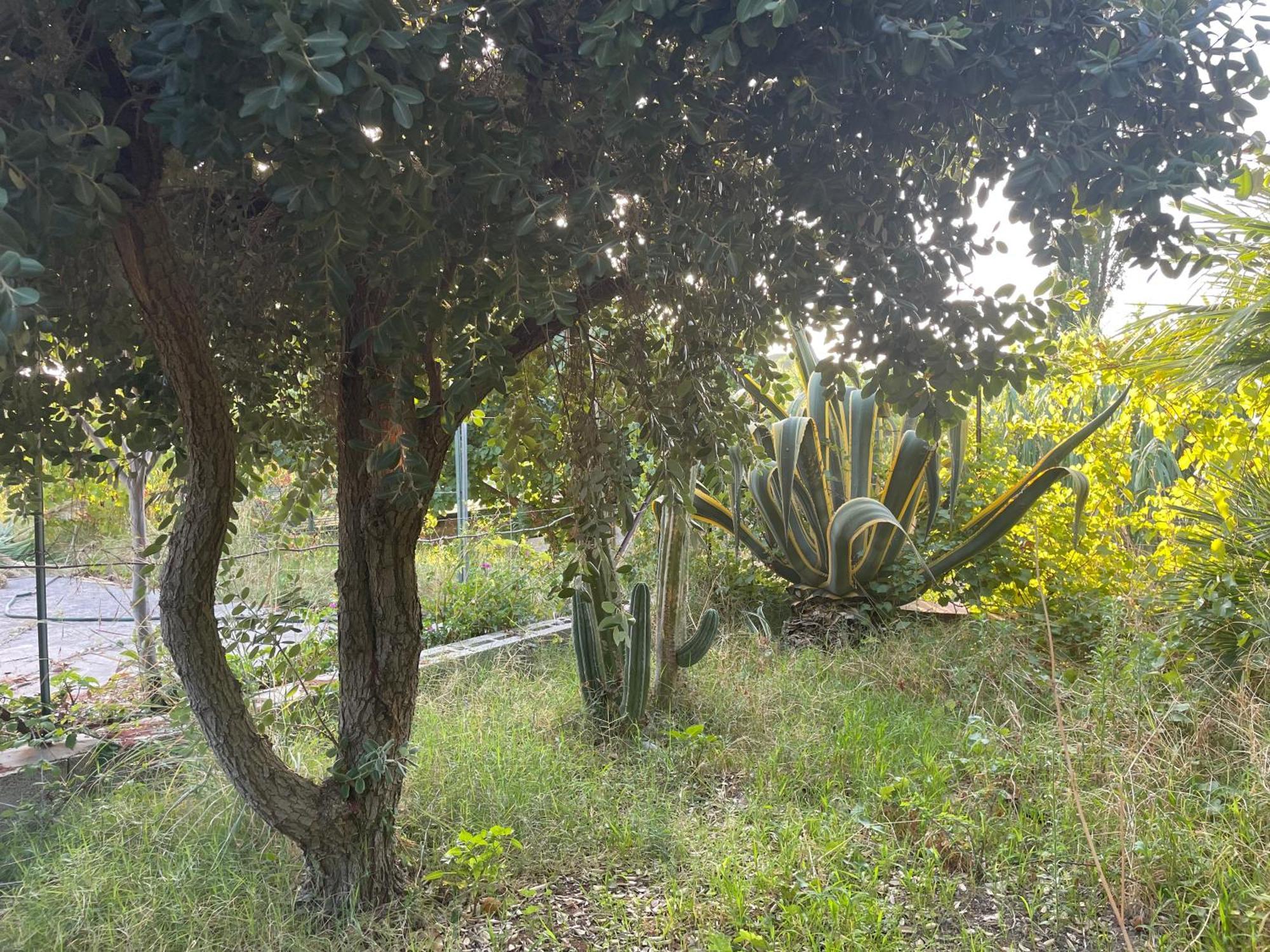 Villa Vittoria Trappeto (Sicily) Exterior foto